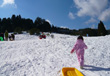 高野山スキー場 高野山スキー場